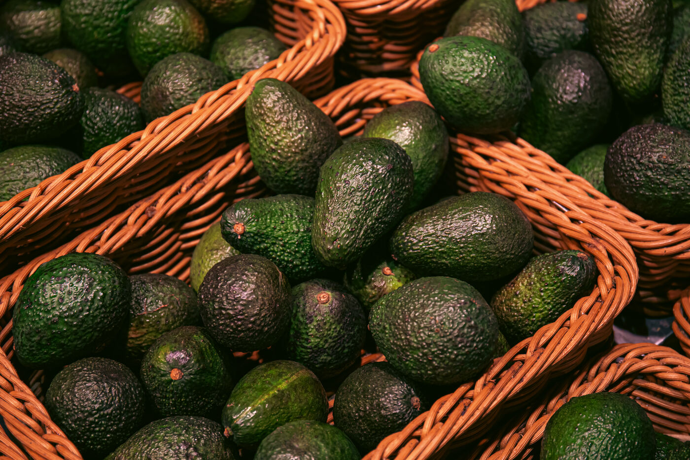 Aguacate Hass