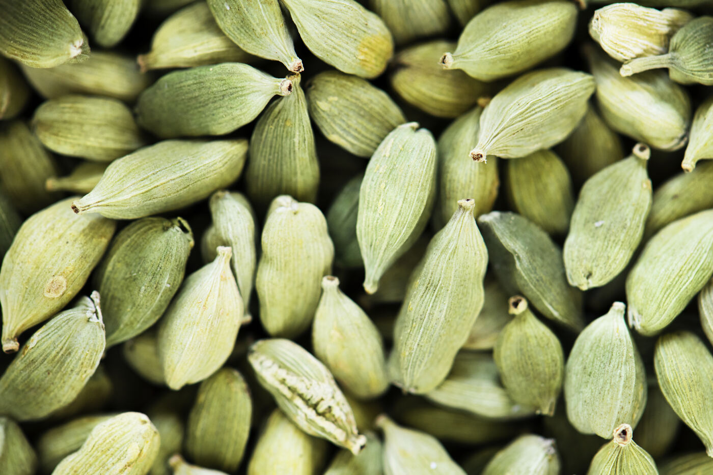 Cardamomo